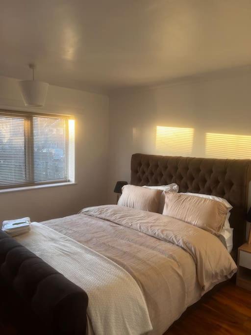 Home In Basildon, Essex المظهر الخارجي الصورة